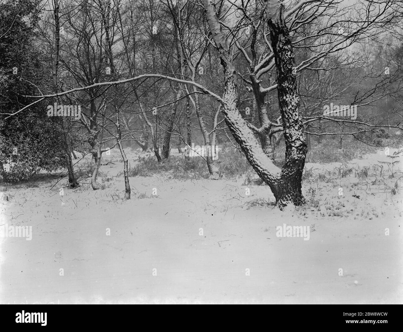 Snow scenes in Chislehurst , Kent . 26 December 1938 Stock Photo Alamy