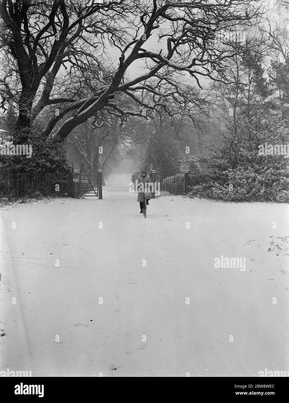 Cycling through the snow in Chislehurst . 26 December 1938 Stock Photo
