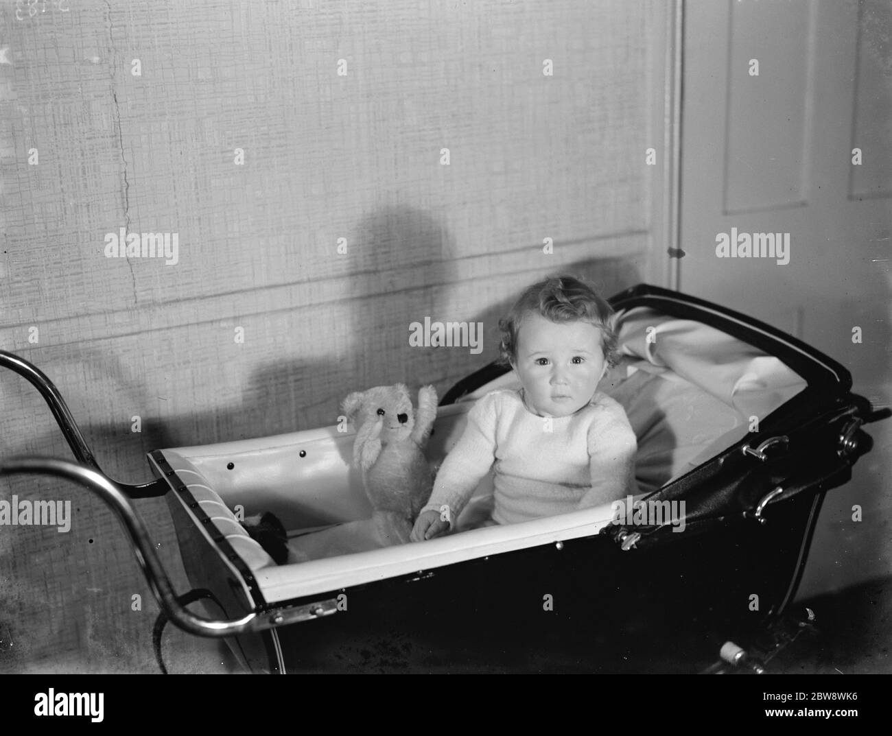 Baby bear in pram hi-res stock photography and images - Alamy
