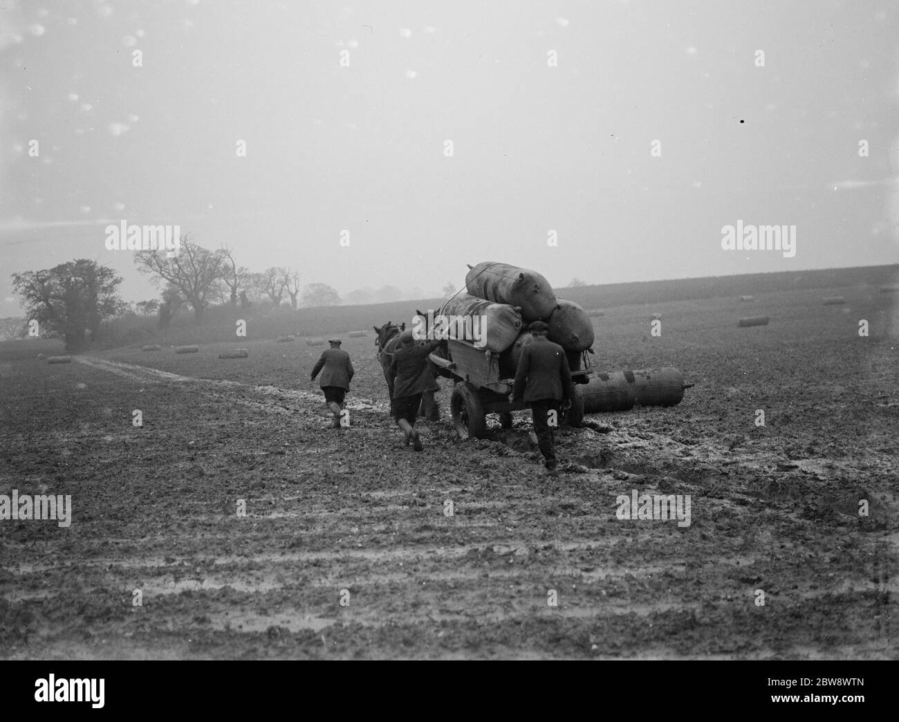 Sacks of surplus hops , which are to be used as manure , stacked on to a horse cart and taken away . 1936 Stock Photo