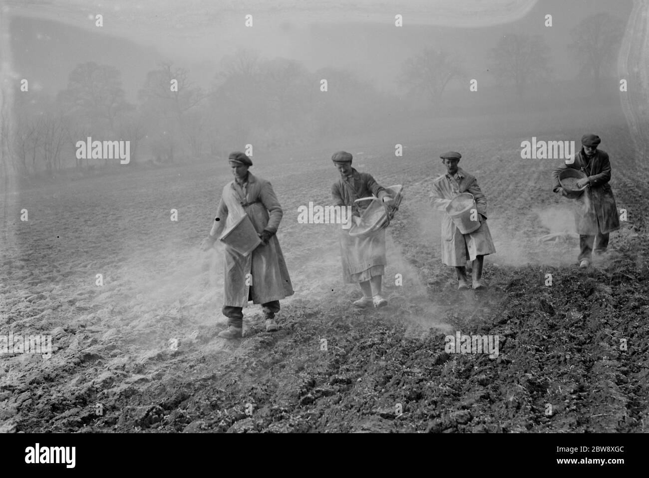 Farm workers spreading bone fertilizer on the fields in St Mary Cray , Kent . 1936 Stock Photo