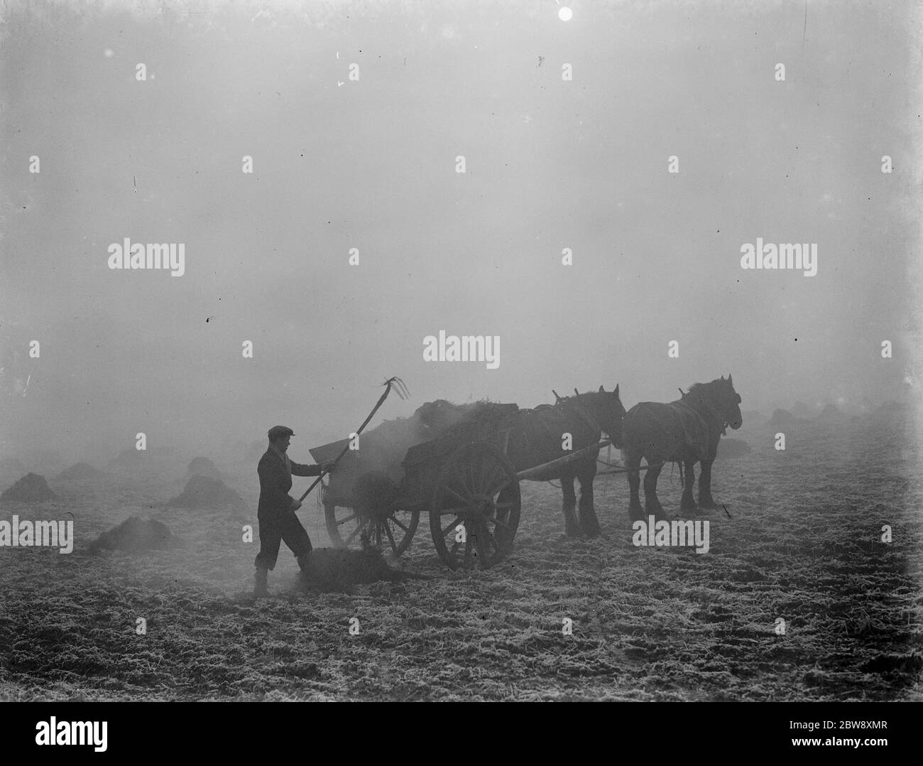 A farmer spreads manure from a horse and cart on a February morning in Allington , Kent . 1939 . Stock Photo