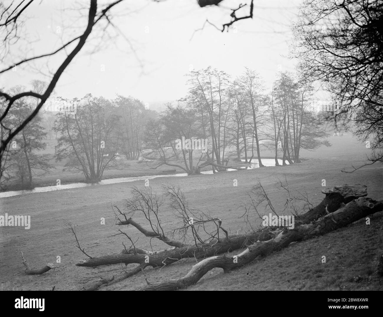 A view of Shoreham Park , Kent . 1938 . Stock Photo