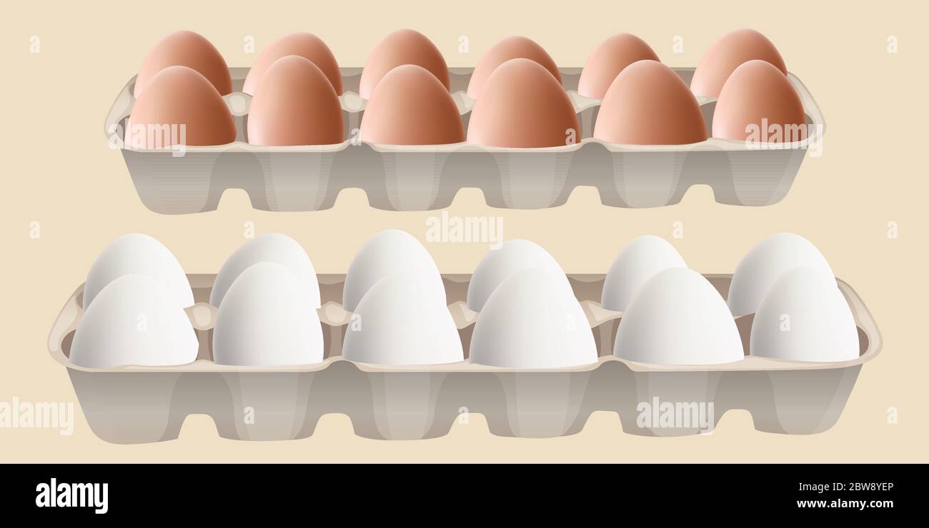 Realistic eggs white and brown in cardboard container - vector Stock Vector