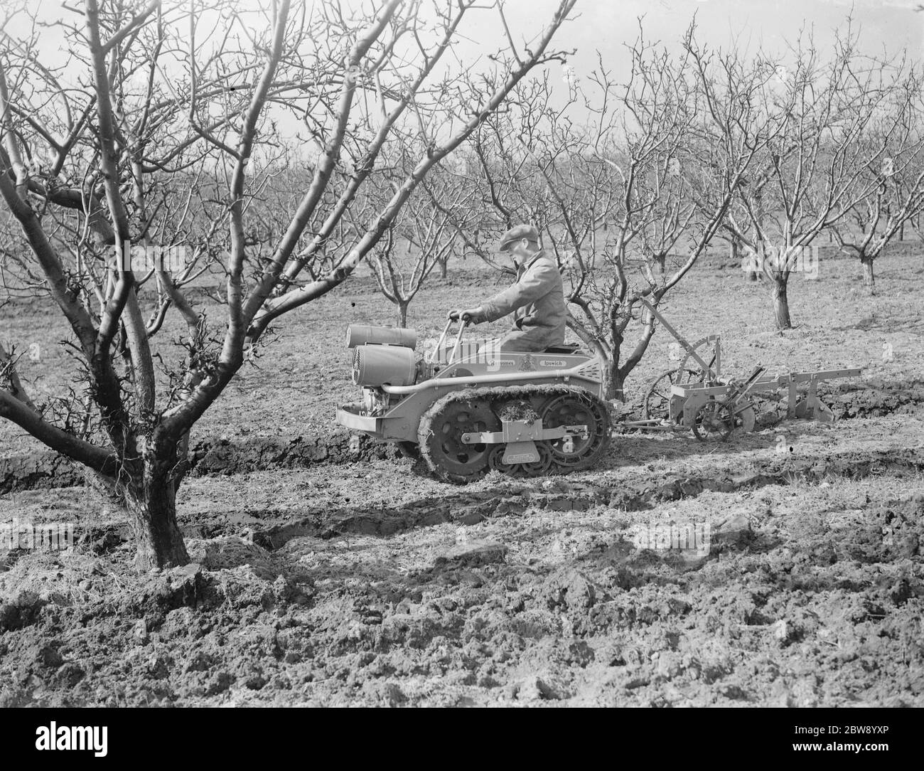 The Ransomes from Ipswich demonstrate their MG2 Motor Garden Cultivator in East Malling , Kent . 22 March 1939. Stock Photo