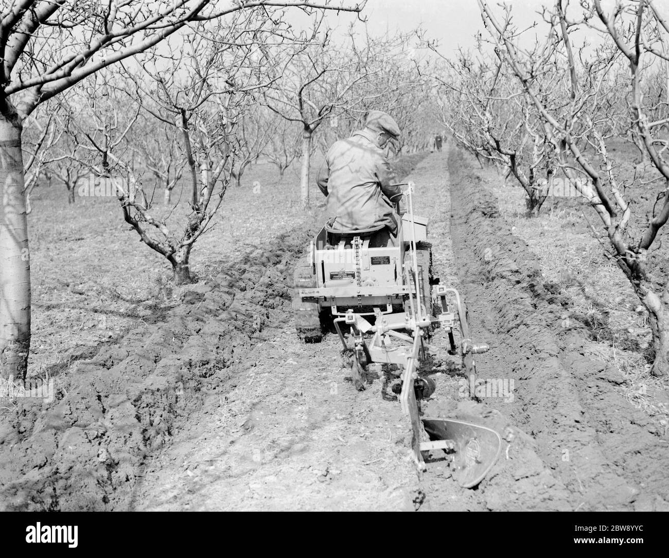 The Ransomes from Ipswich demonstrate their MG2 Motor Garden Cultivator in East Malling , Kent . 22 March 1939. Stock Photo