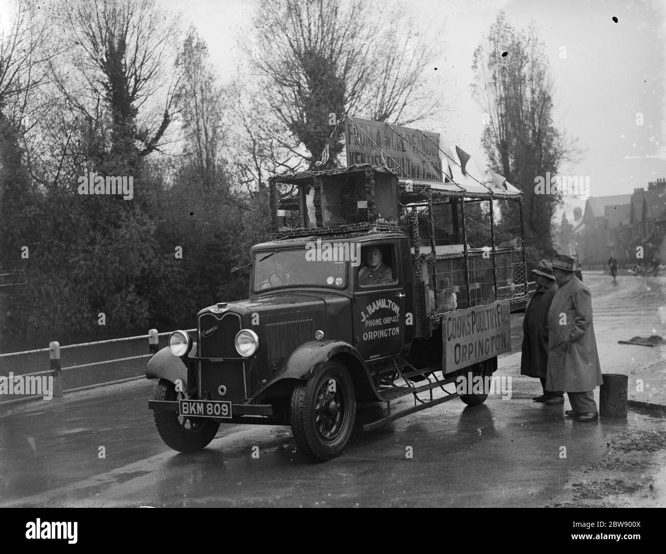 Cooks Poultry Farm truck pulls up with cages full of chickens on the back . 1936 Stock Photo