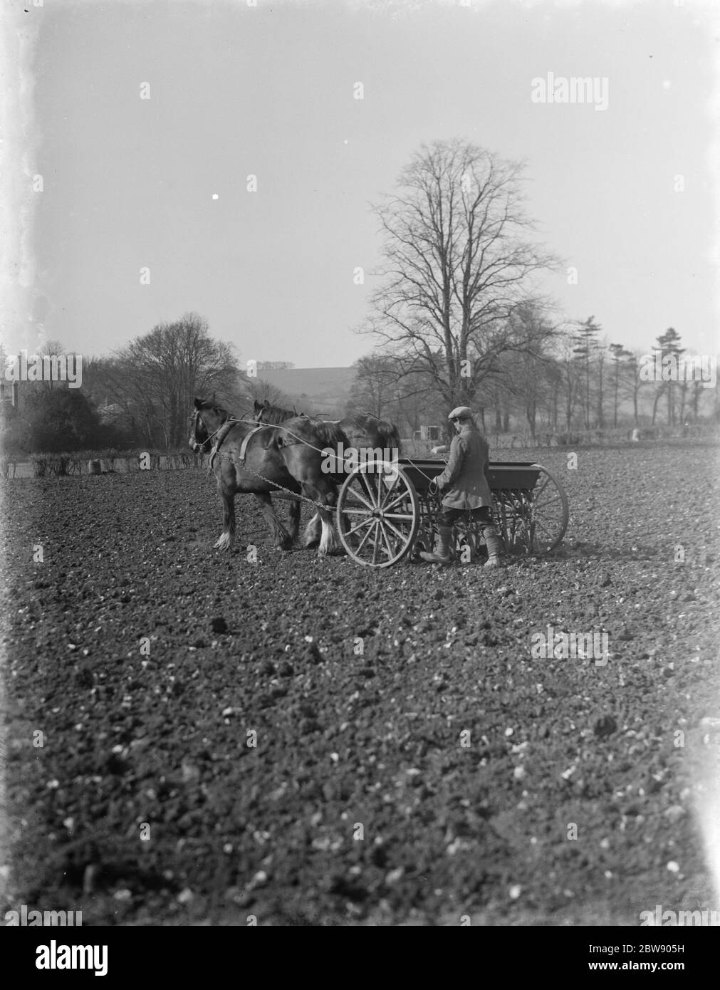 Farm worker sowing oats with a horse drawn seed drill in Shoreham , Kent . 1937 Stock Photo