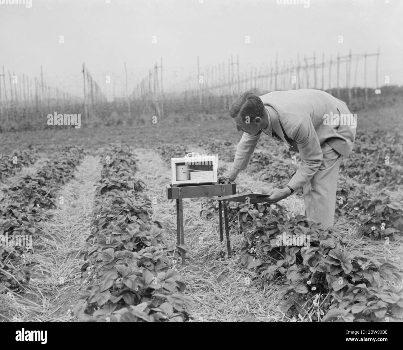 Checking measuring equipment at the East Malling Research Station in Kent . 2 June 1937 Stock Photo