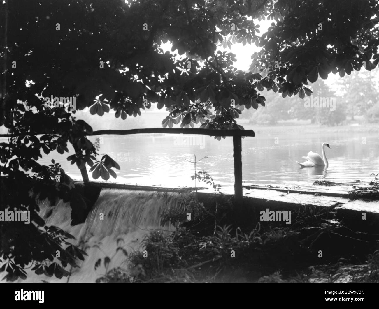 A view of the cascading waterfall at Lullingstone Park in Kent . 25 Mat 1937 . Stock Photo