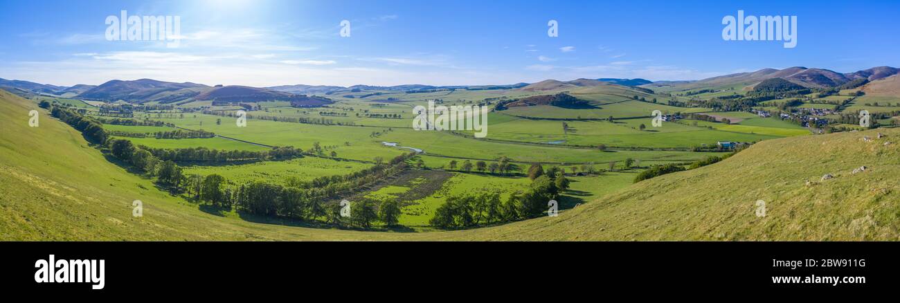 A Panorama Of Rolling Hills In The Scottish Borders On A Beautiful Summer's Day Stock Photo