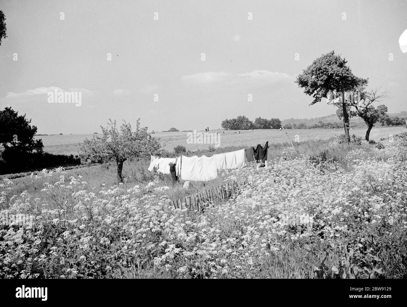 Rebecca Munday hanging up the washing on a bright breezy day in Deans Bottom , Kent . 1939 . Stock Photo