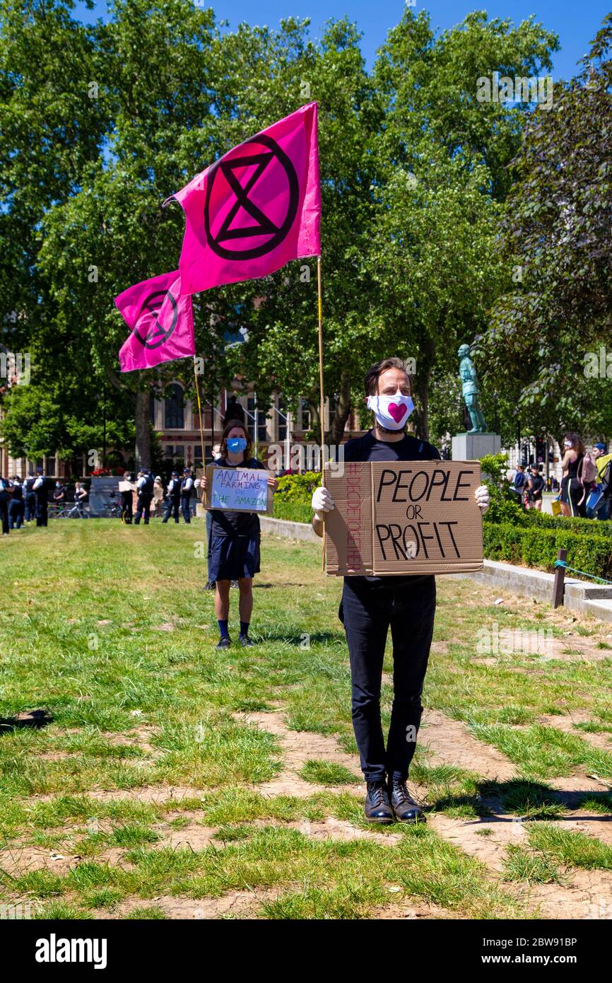 30 May 2020 London, UK - Extinction Rebellion stage silent socially-distanced climate change protest in Westminster, protesters being fined and taken away by police for breaching coronavirus regulations Stock Photo