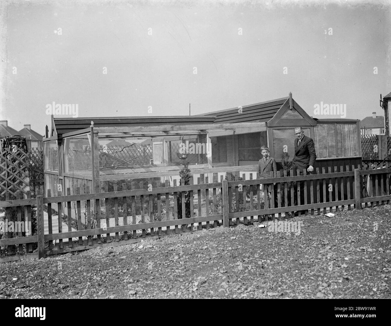 Cage and aviary bird Black and White Stock Photos & Images Alamy