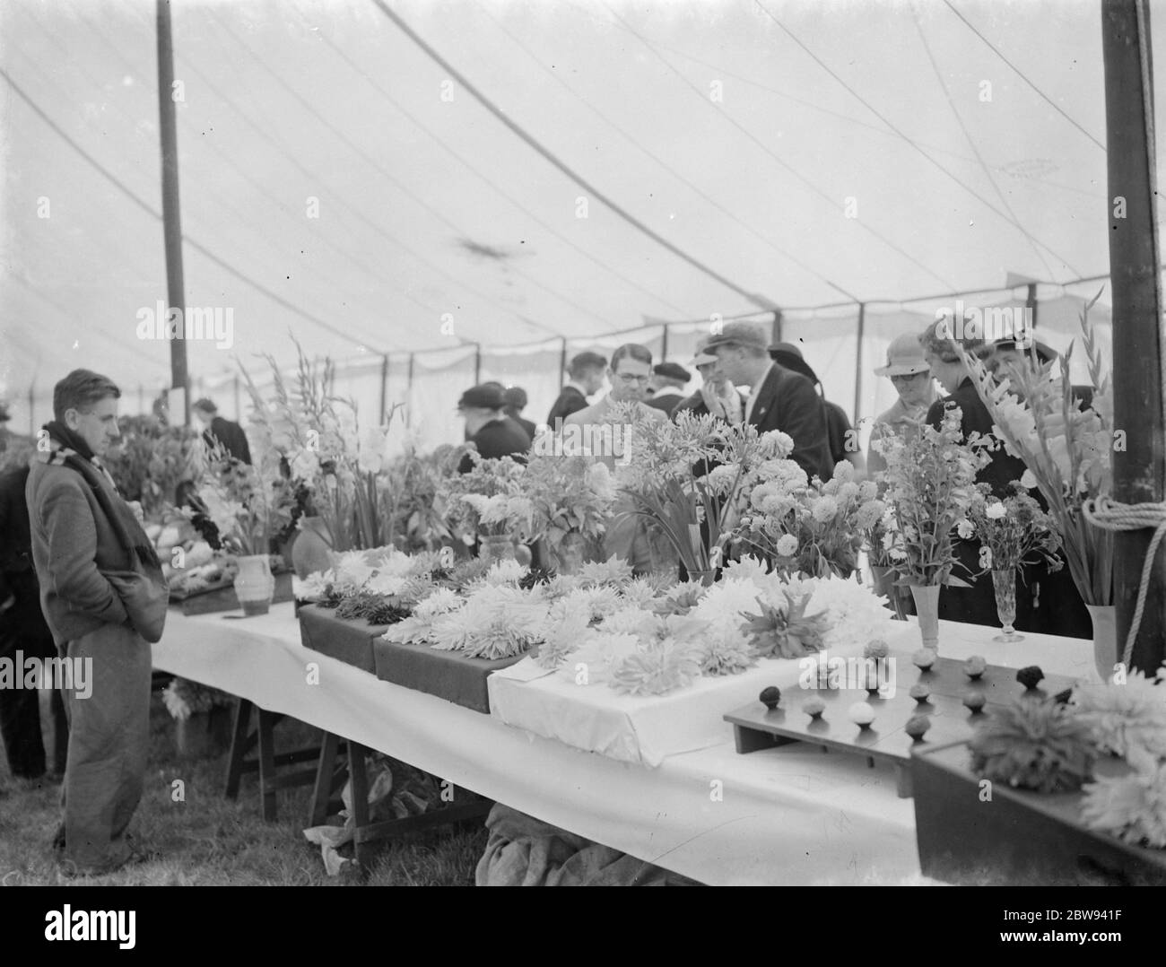 The Longfield Flower Show , Kent . 1938 Stock Photo