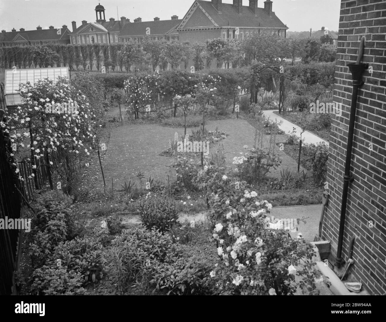 Mr J H Smiths ' garden in Mottigham , Kent . 1938 . Stock Photo