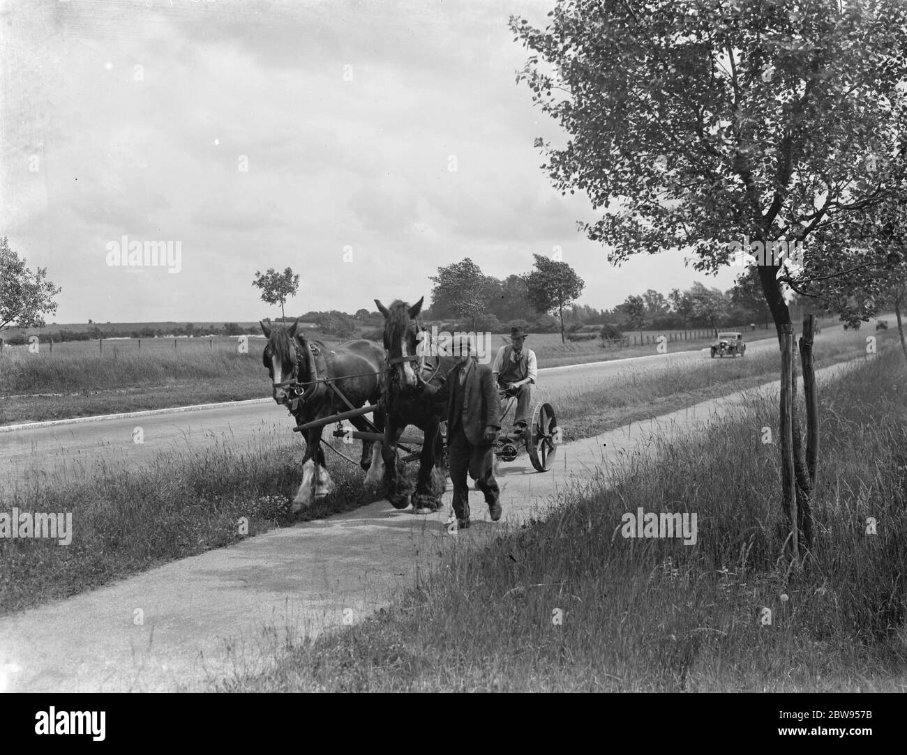 Horse mower hires stock photography and images Alamy