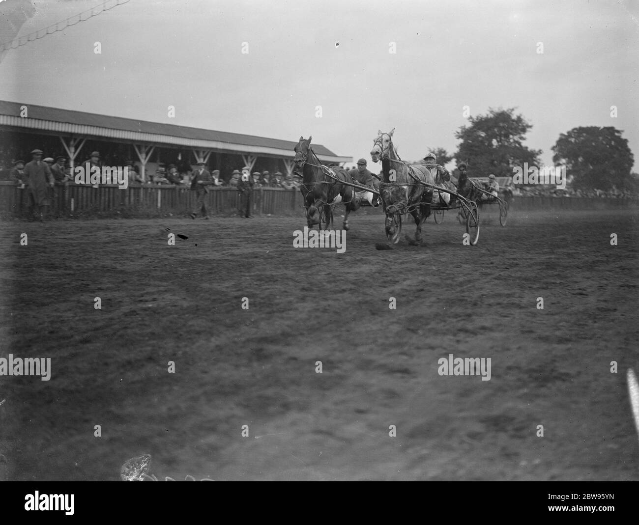 Winning by a nose at Greenford trotting races . Mr Craddock 's La Milo II , ridden by Mr Brazier , won the Amateur Drivers Sweepstake trotting race at Greenford , Middlesex , from Misery , by a nose . La Milo II nearest camera , winning the Amateur Drivers Sweepstake by a nose at Greenford . 5 September 1932 Stock Photo