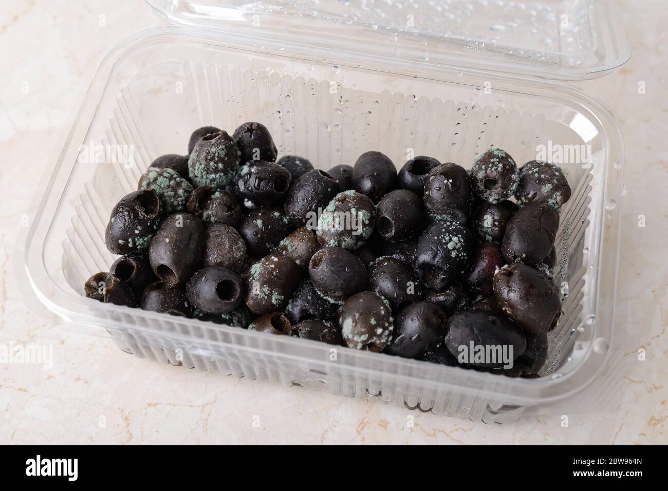 Spoiled olives with white green mold in a plastic food container on a kitchen table. Mold fungus on stale olives. Food forgotten in the fridge. Stock Photo