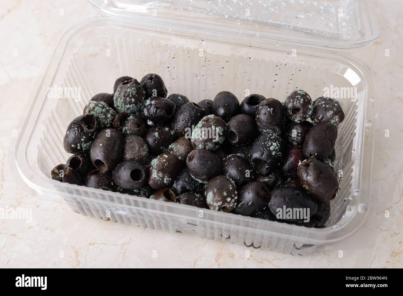 Spoiled olives with white green mold in a plastic food container on a
