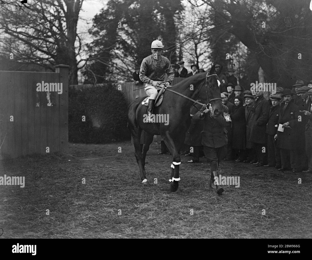 Half Man Half Horse High Resolution Stock Photography And Images Alamy