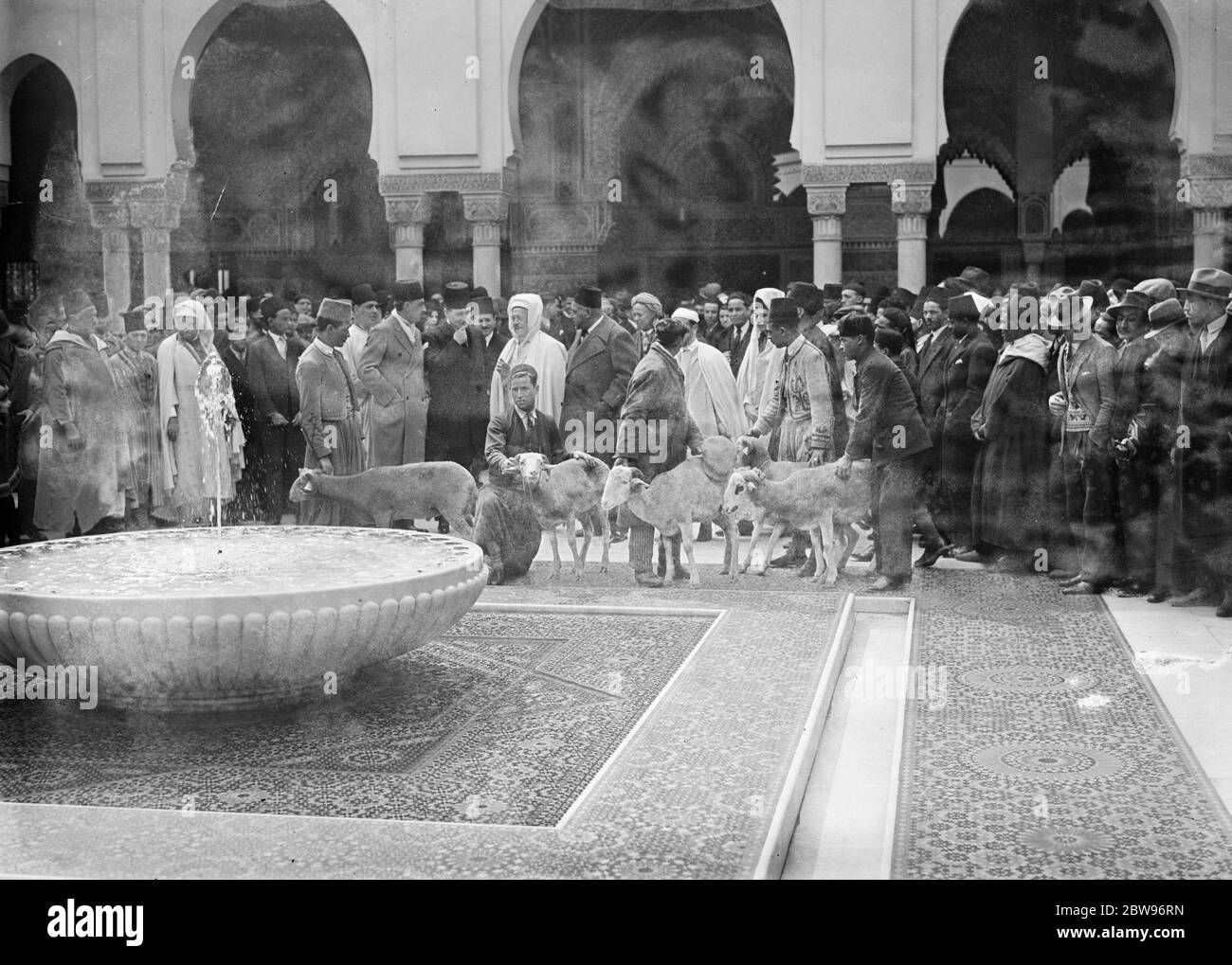 Lambs sacrificed at Muslim festival in Paris . The Muslim festival of Eid Ul Azha , was celebrated at the Paris Mosque , and lambs were offered up for sacrifice . Lambs being presented at the Paris Mosque for sacrifice at the festival . 16 April 1932 . Stock Photo