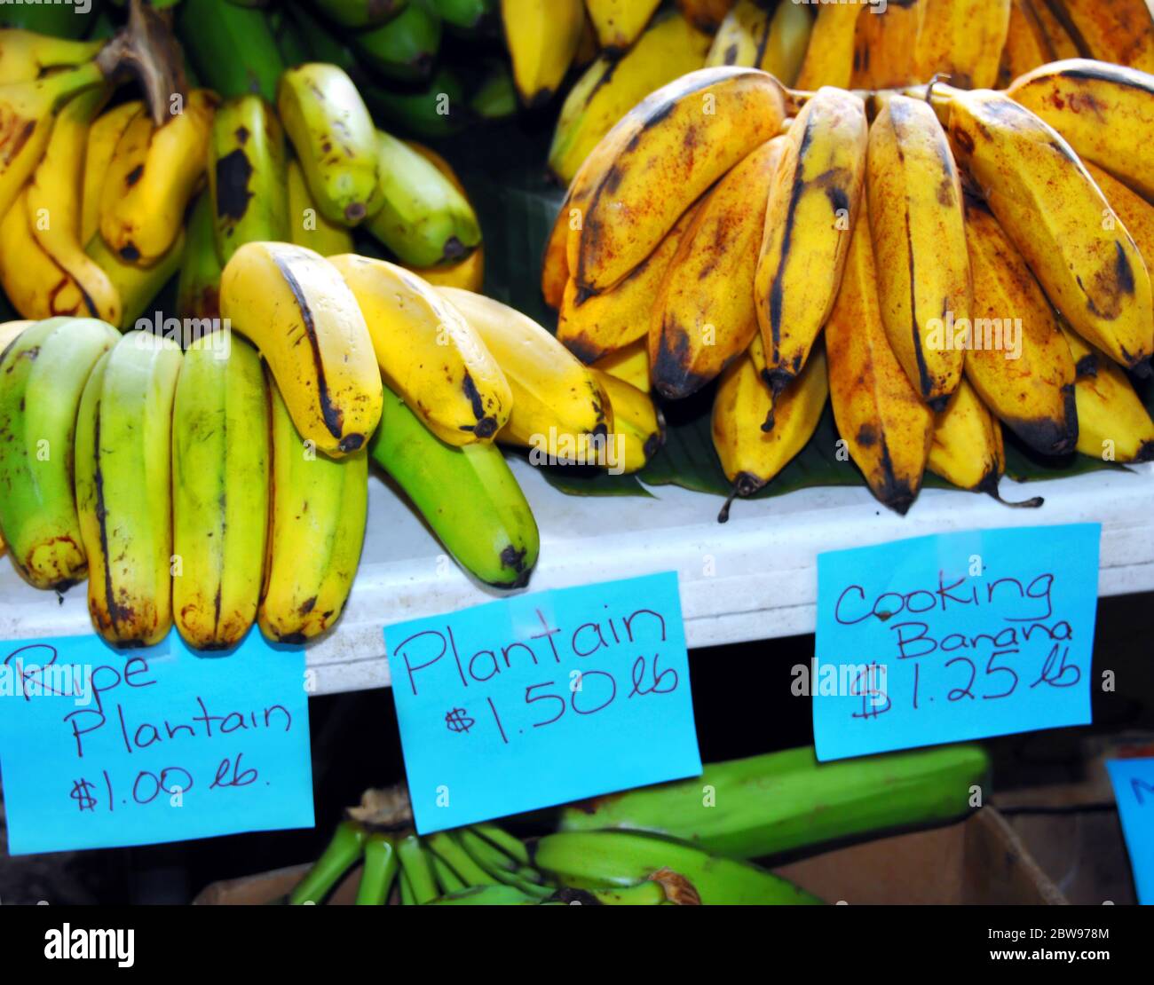 Banana varieties are ready for selling at the Hilo Farmers Market on the Big Island of Hawaii. Blue table signs list prices per pound. Stock Photo