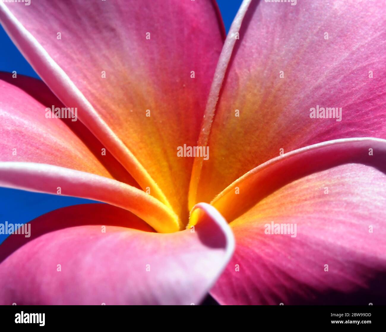 Hawai’i nature center hi-res stock photography and images - Alamy