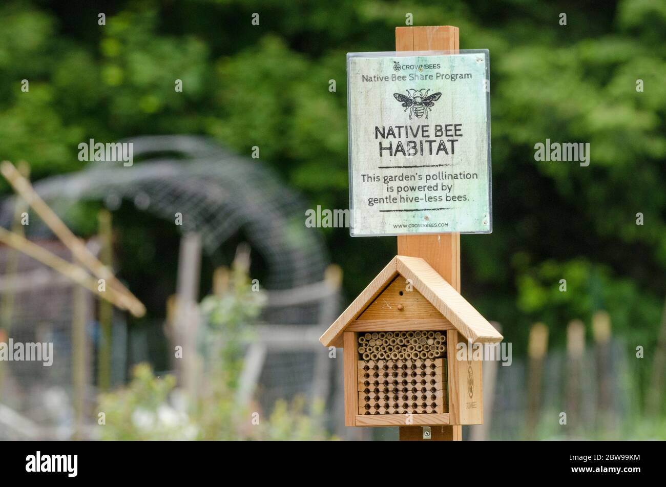 Above a wooden bee house, a 'Native Bee Habitat' sign describes a section at a community garden planted for pollinators. Stock Photo