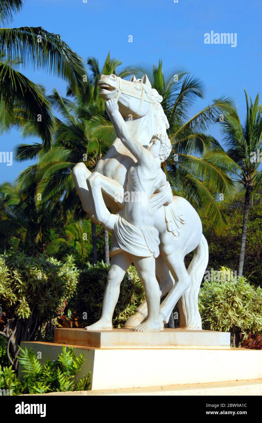Statue depicts native hawaiian holding the bridle of an out of control horse.  Palm trees and statue are part of landscaping at resort on the island o Stock Photo
