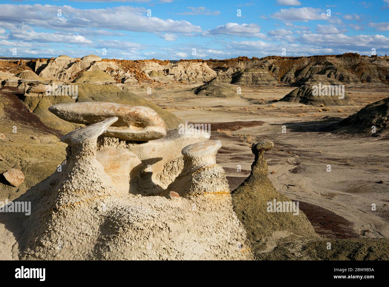 NM00262-03...NEW MEXICO - Hoodoos and colorful mounds in the Bisti ...