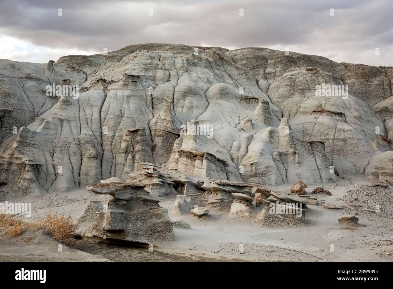 NM00269-00...NEW MEXICO - Light-colored, layered, sandstone at sunset in the Bisti Wilderness. Stock Photo
