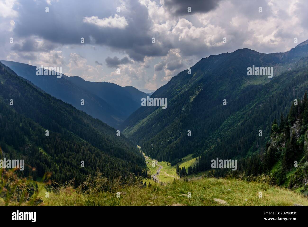 Panoramic view over the green and lush summerish Valea Rea (Bad Valley), Fagaras Mountain Stock Photo