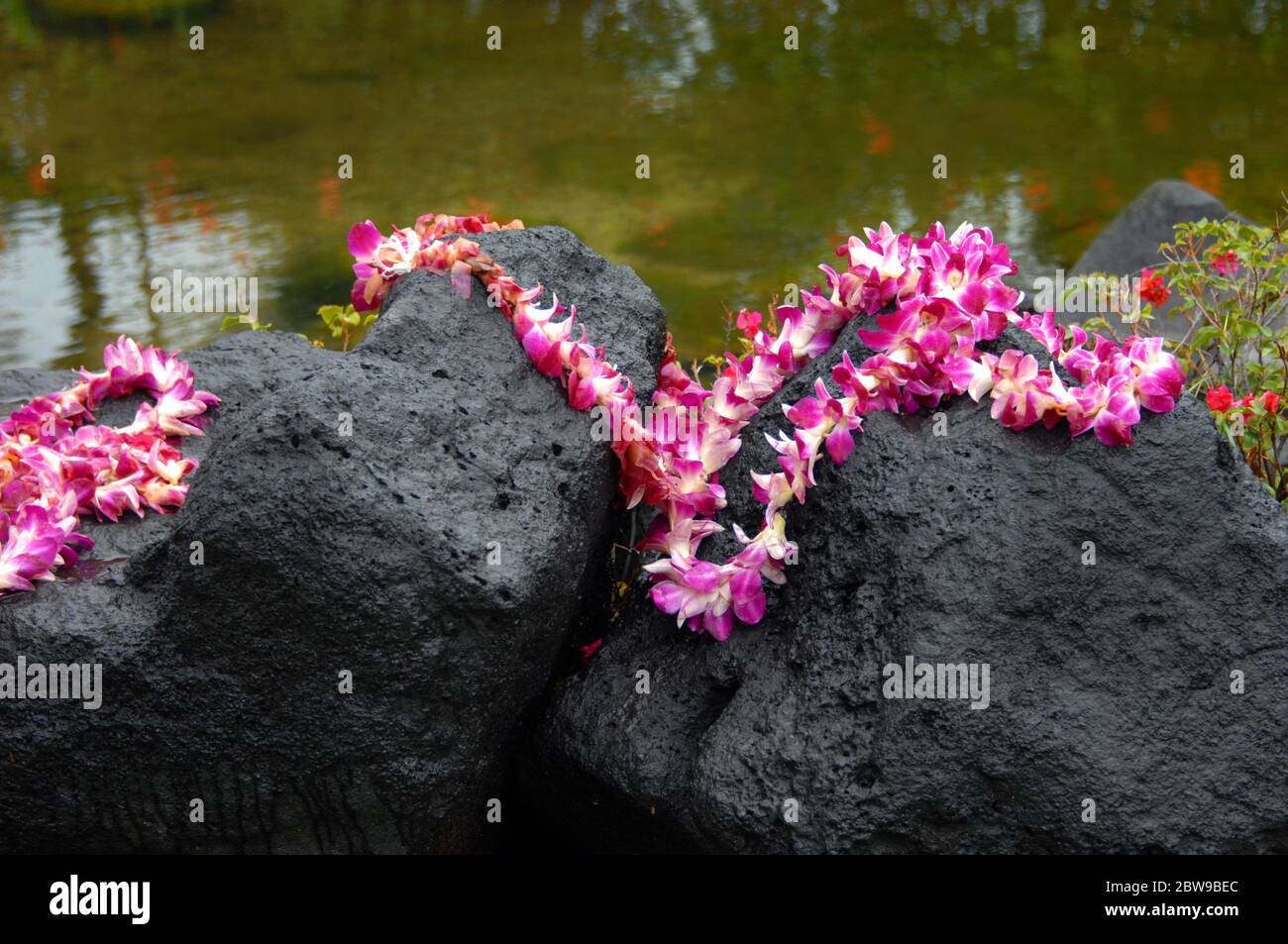 Tourists leave lei offering and goodbye tokens on the island of Kauai, Hawaii. Pink and purple