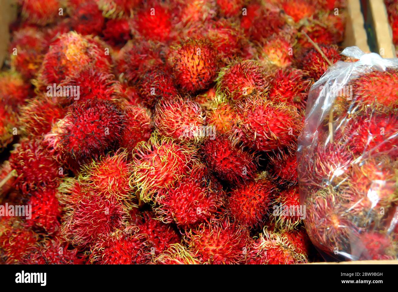 Rambutan is piled in boxes for sale at the Hilo Farmer's Market on the Big Island of Hawaii.  Right side of photo has a bag ready for sale. Stock Photo