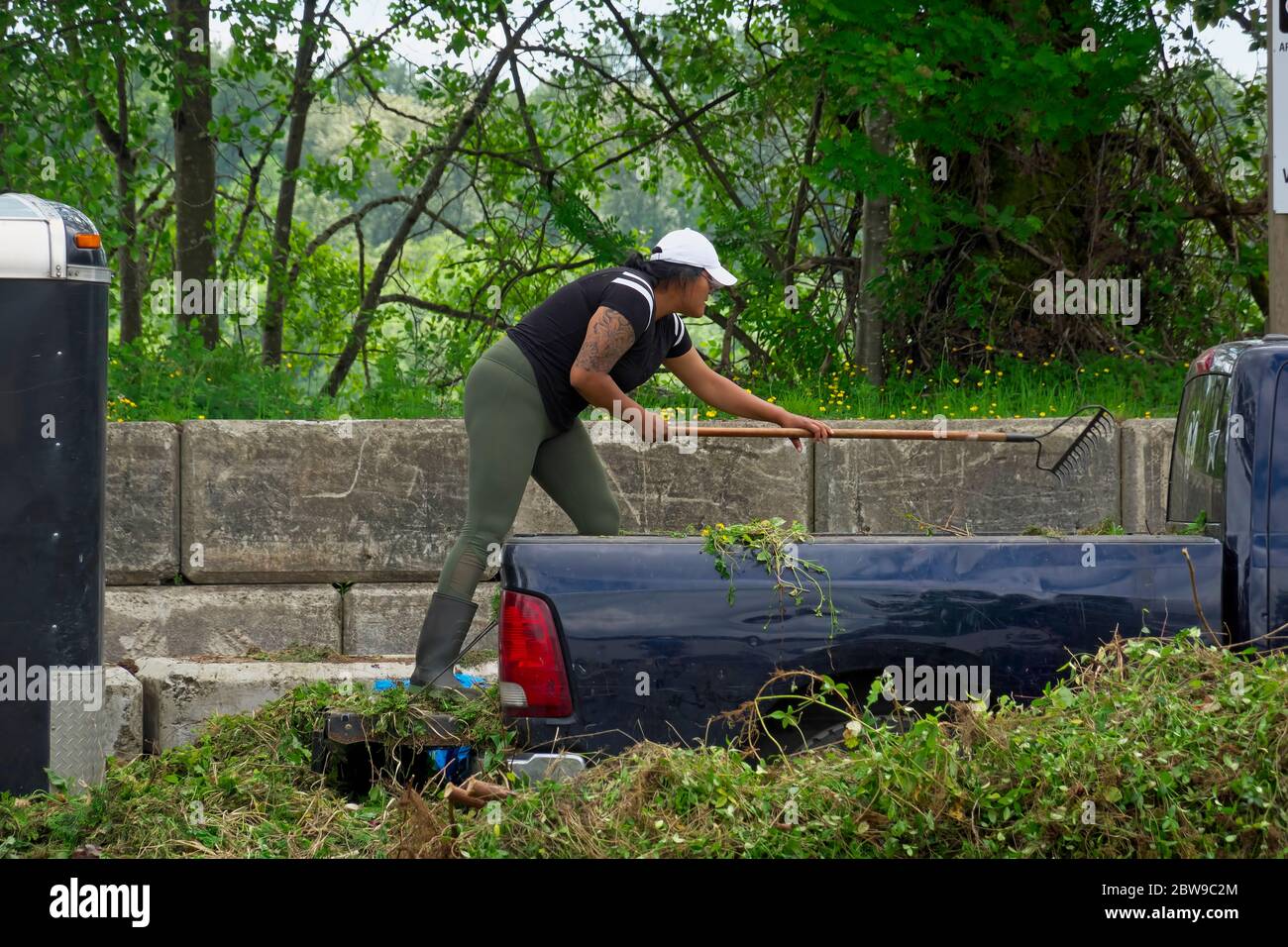 Woman with tattoos on her arm in white cap and rubber boots raking green waste out of the back of a pickup truck.  B. C., Canada.  Stock photo. Stock Photo
