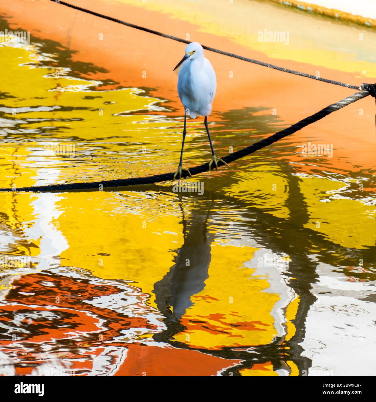 My Image 12