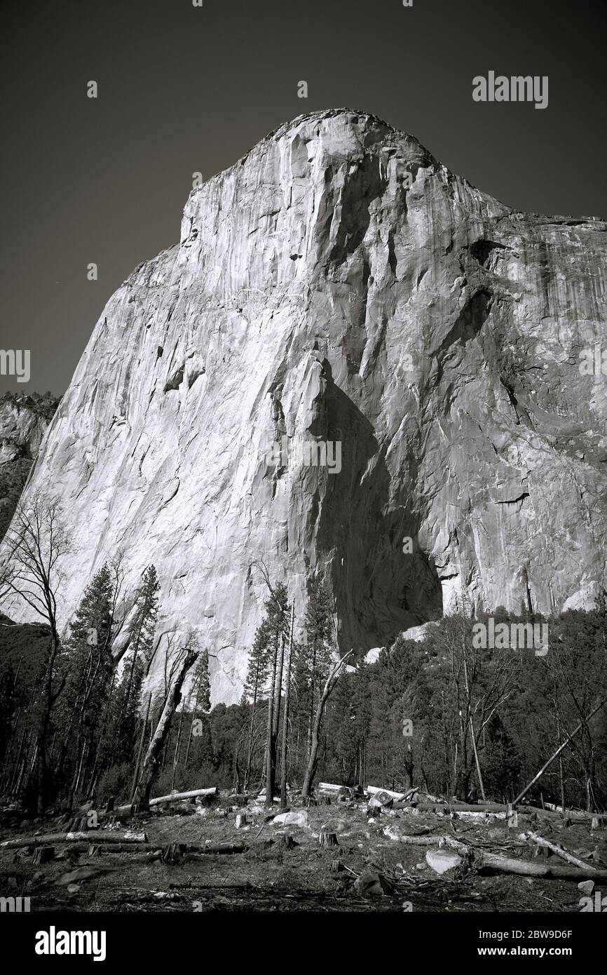 El Capitan Mountain at Yosemite National Park in Black and White Stock Photo