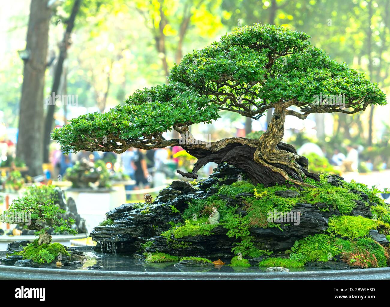 Zen Tabletop Garden Bonsai Style Rocks and Moss Indoor Garden Biophilic  Design Moss and Blooms Tspirit Art 