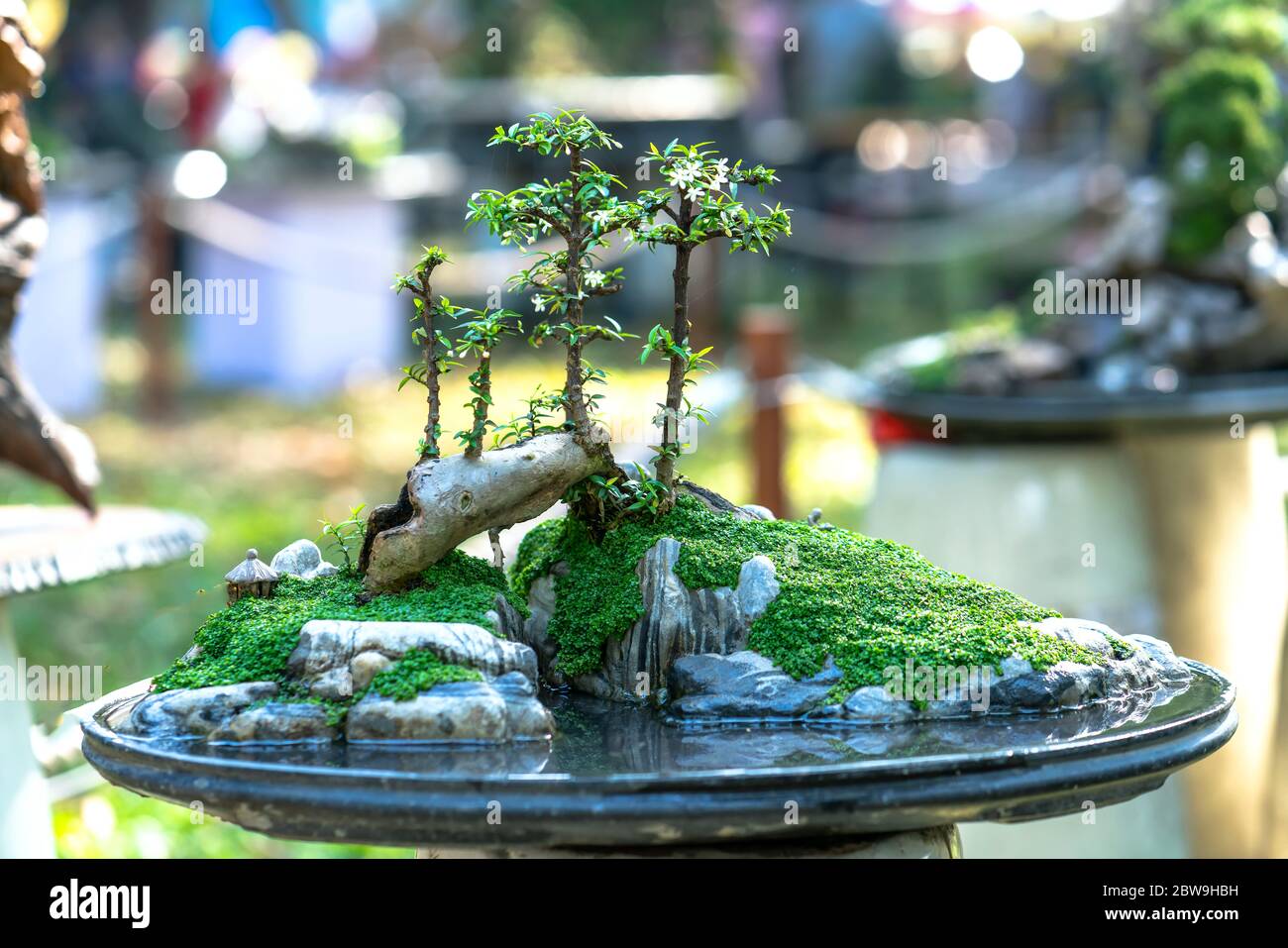 Bonsai and Penjing with miniature in a tray like to say in human life