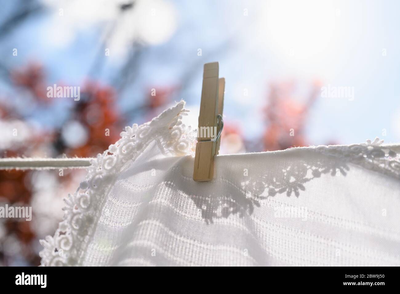 White tablecloth drying on clothesline in sunlight Stock Photo