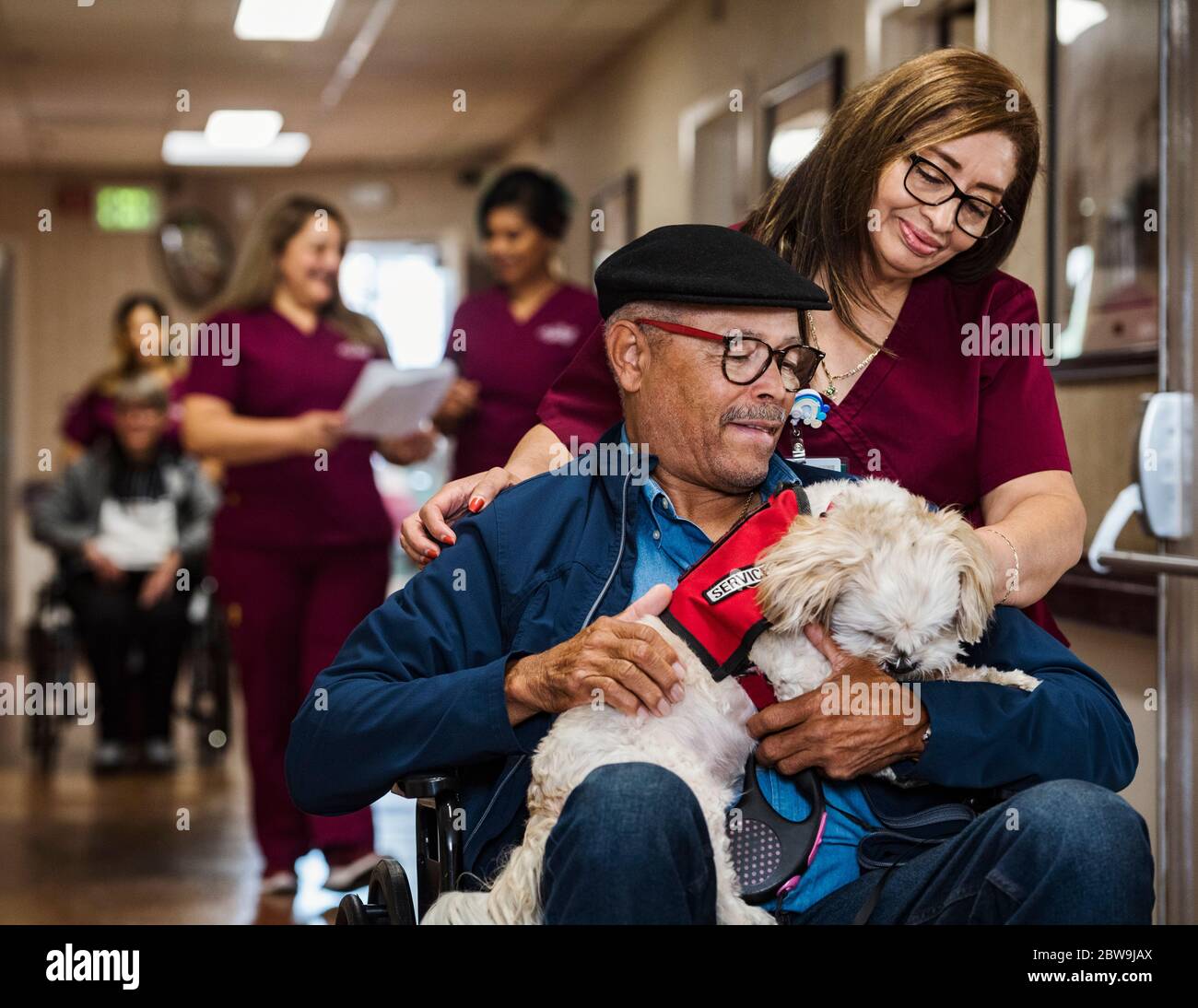 Nurse assisting senior man in wheelchair holding service dog Stock Photo