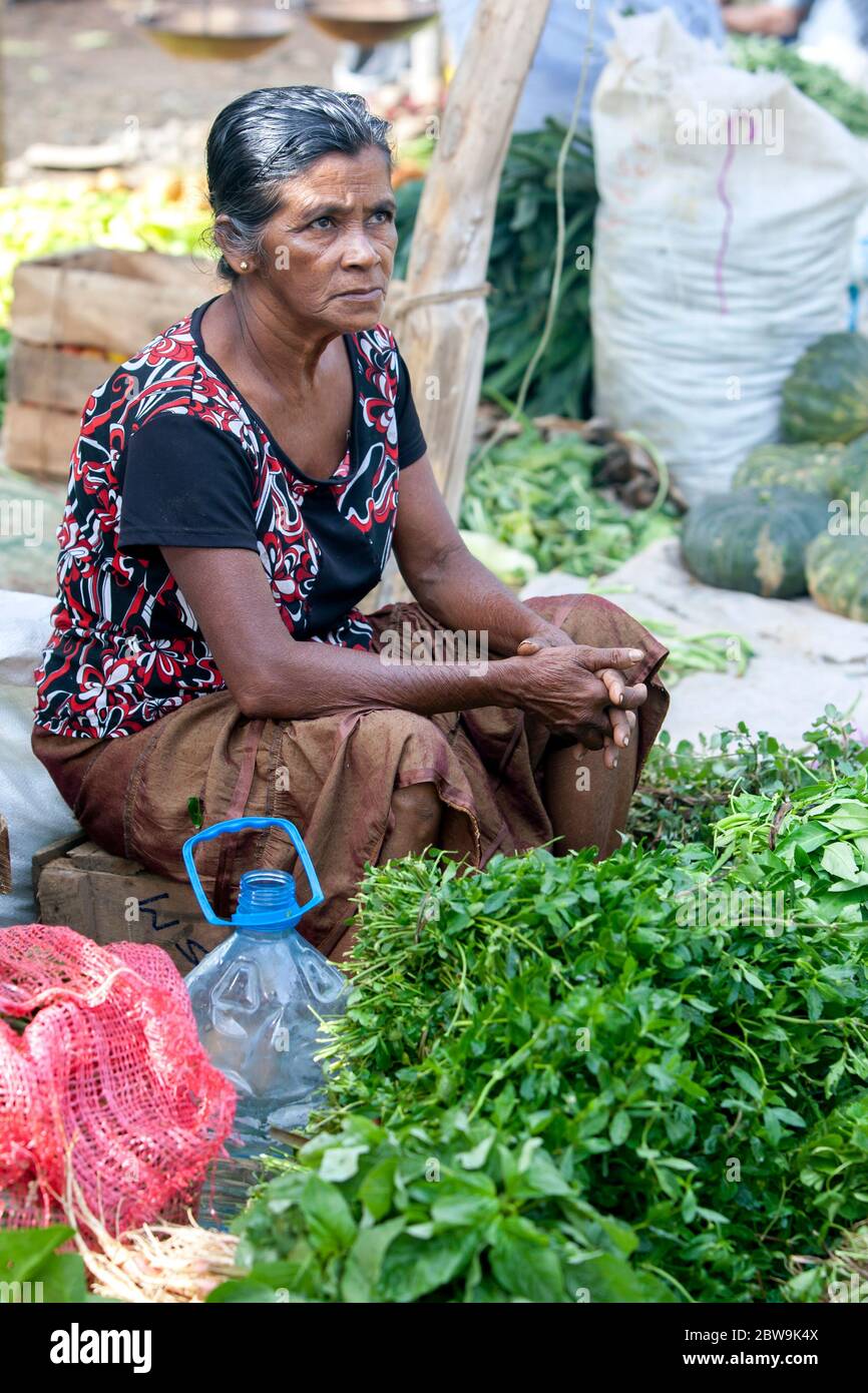 A lady selling fresh fruit and vegetables at a roadside market at Mirissa in southern Sri Lanka. Stock Photo
