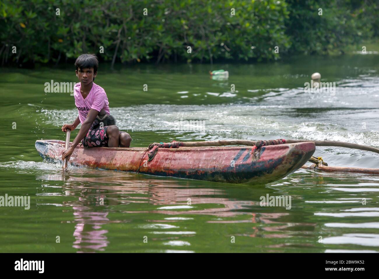 A boy paddles his outrigger canoe along the Madu River past mangrove