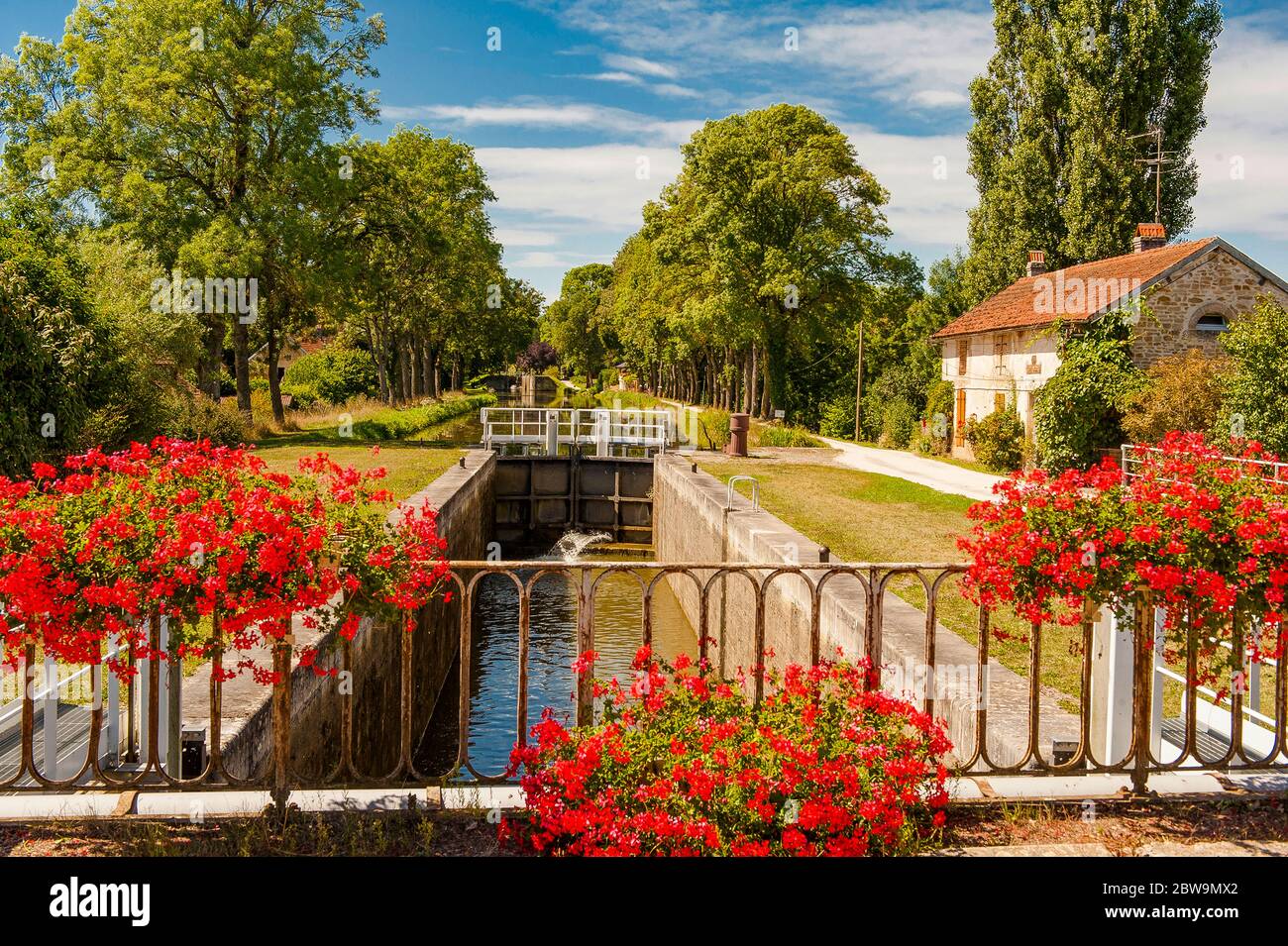 Im Burgund liebt man Geranien. Sie schmücken auch den Canal de Bourgogne bei Vandenasse Stock Photo