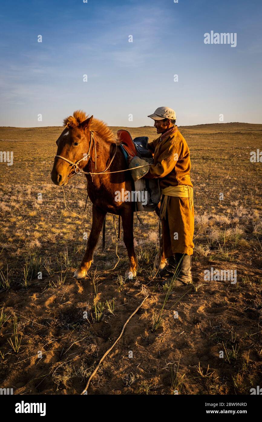 Mongolian shepherd wearing traditional dress in steppe of Gobi desert with his hourse, Mongolia, Asia. Stock Photo