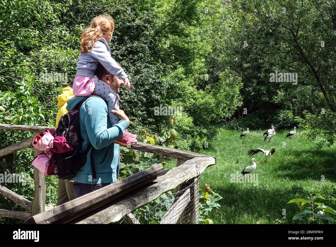 Prague Zoo family People, visitors, watch the birds, good event for a day trip for family with children Prague daily life zoo animals people Stock Photo