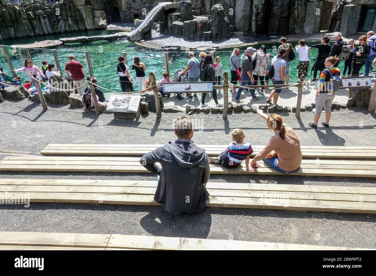 People, visitors, look at sea lions in the Prague Zoo, a good event for a day trip for family with children Prague daily life Stock Photo
