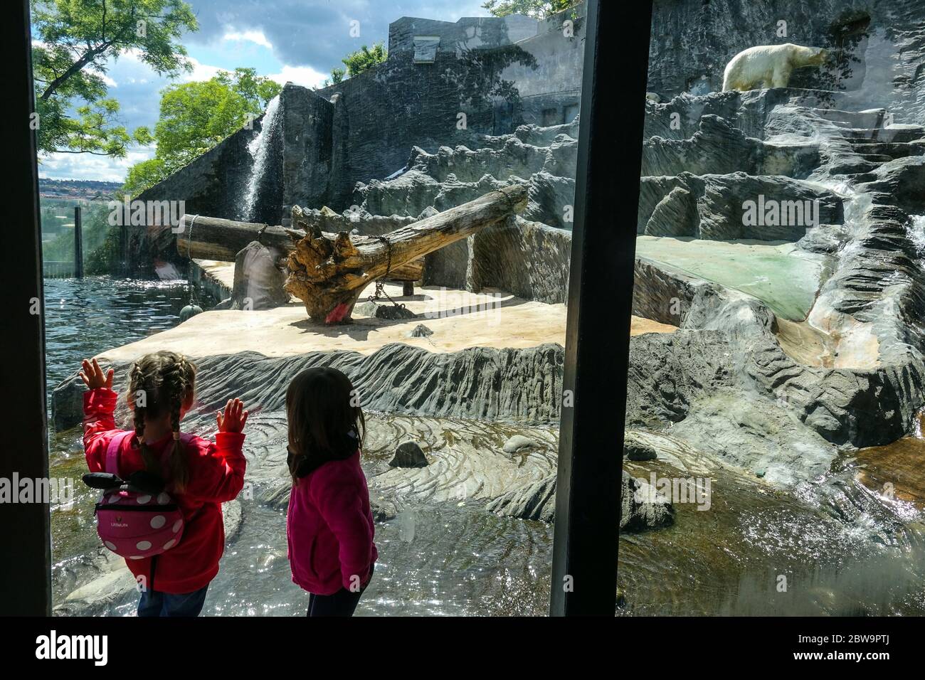 People, visitors, children look at polar bears in the Prague Zoo, good event for a day trip for family with children Stock Photo