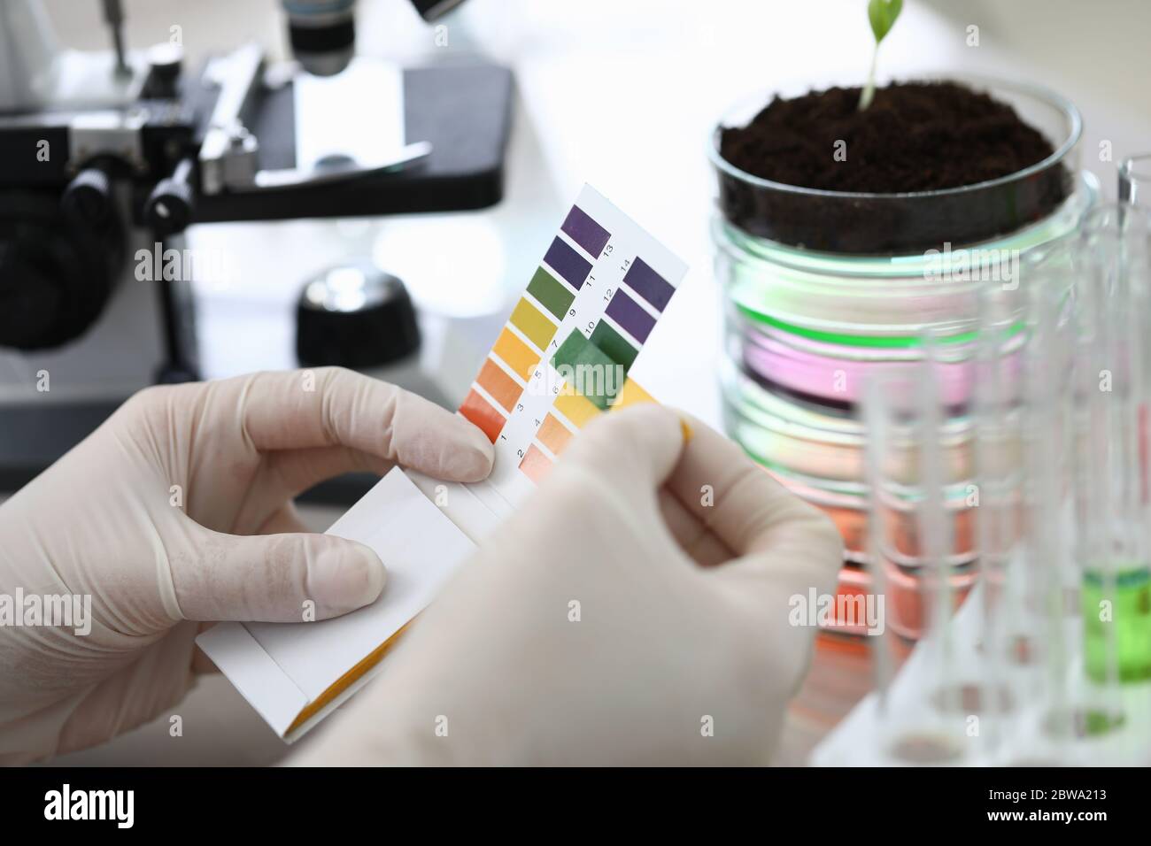 Gloved hands holding paper to test soil acidity Stock Photo